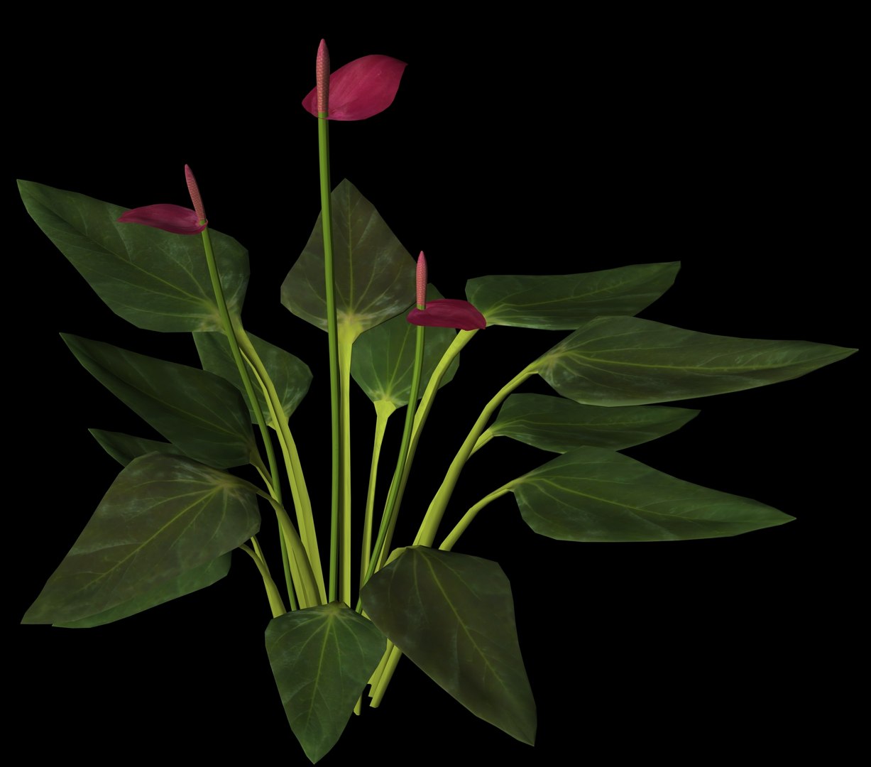 3d Model Plant Petals Stem