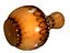 Wood Decoration