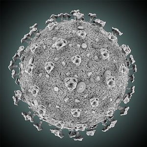 corona virus covid-19 res 3D model