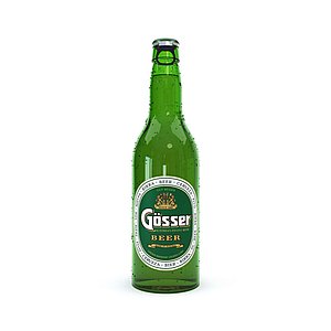 modeled gosser bottle 3D