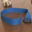 Collar Pet Blue