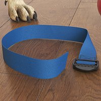 Collar Pet Blue
