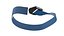 Collar Pet Blue