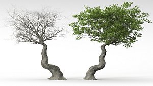 3D high quality trees in 3 mode season