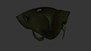 hat - flying dutchman 3D model