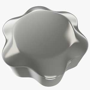 3D head screw model
