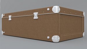 case suitcase model