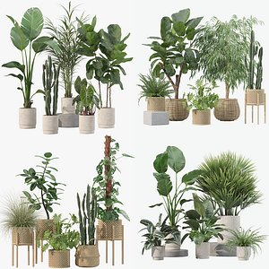 3D 20 Photorealistic Flowers for Interiors - set 201 203 207 219