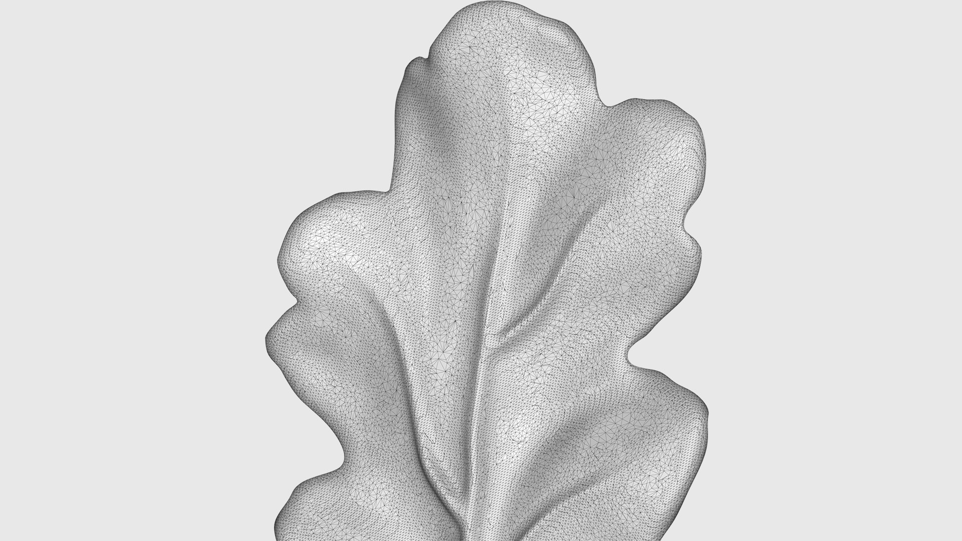 3D oak leaves model https://p.turbosquid.com/ts-thumb/3Y/gJtsIu/Qy/34/jpg/1608598489/1920x1080/fit_q87/1b3547eb2bef734945b2350c6020e9b3947df012/34.jpg