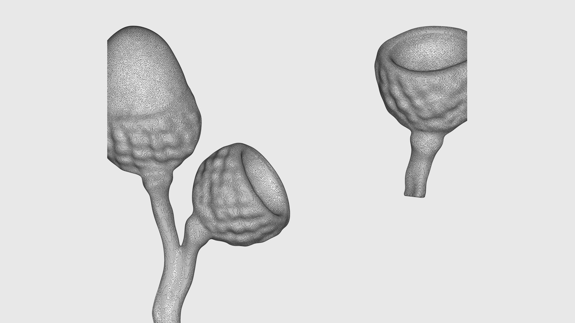 3D oak leaves model https://p.turbosquid.com/ts-thumb/3Y/gJtsIu/S5/26/jpg/1608598453/1920x1080/fit_q87/1f8e95c715762a228799fc8a9a40f1d515253630/26.jpg