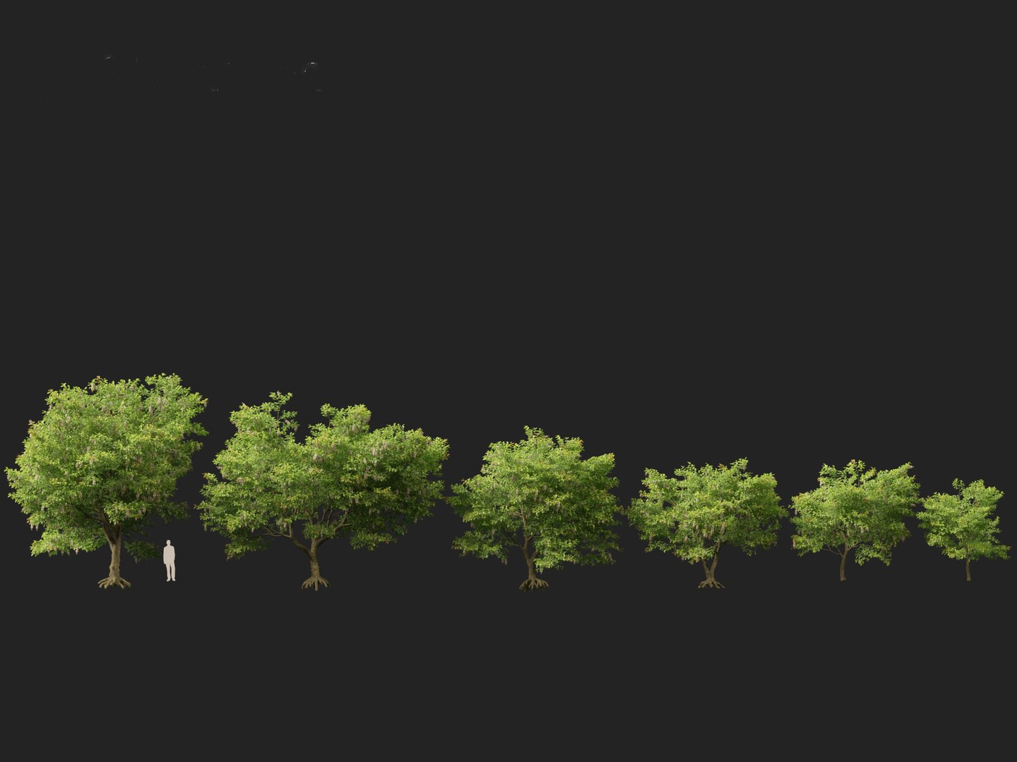 HighPolyLowPoly Millettia pinnata - Indian beech model https://p.turbosquid.com/ts-thumb/3Y/iuFI94/6V/millettiapinnata012/jpg/1735884132/1920x1080/fit_q87/e8709110dfd746ff8f0de31181246862ee2d6919/millettiapinnata012.jpg