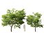 HighPolyLowPoly Millettia pinnata - Haya india