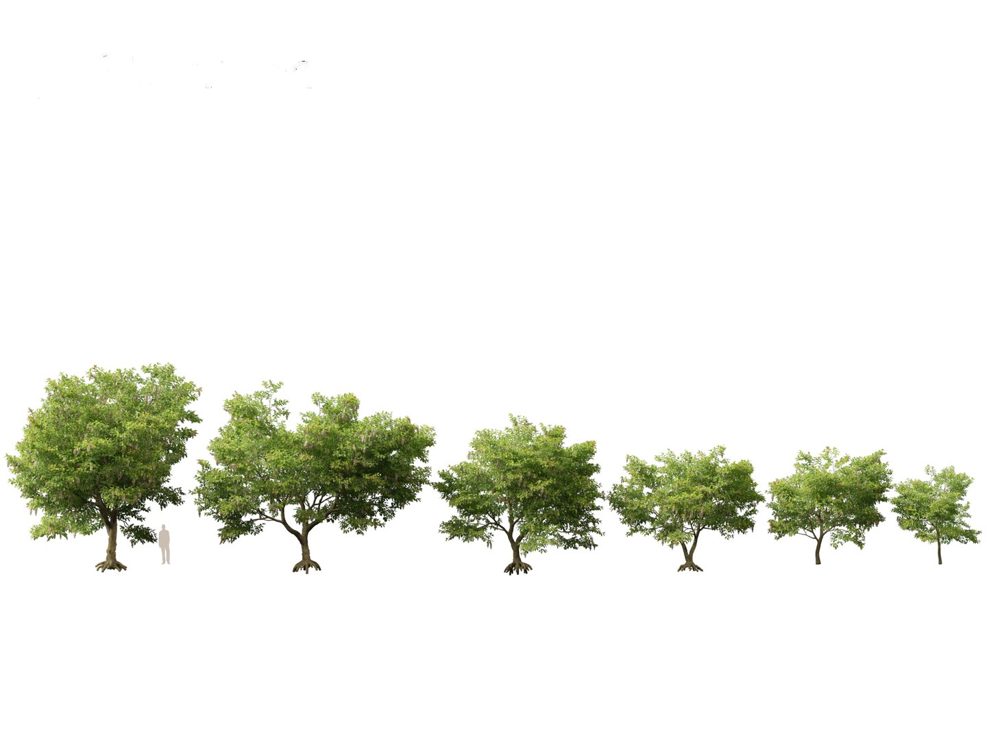 HighPolyLowPoly Millettia pinnata - Indian beech model https://p.turbosquid.com/ts-thumb/3Y/iuFI94/Om/millettiapinnata011/jpg/1735884119/1920x1080/fit_q87/cf0f3138b4ae87cd9d2d545d4fcf16faedd0b695/millettiapinnata011.jpg