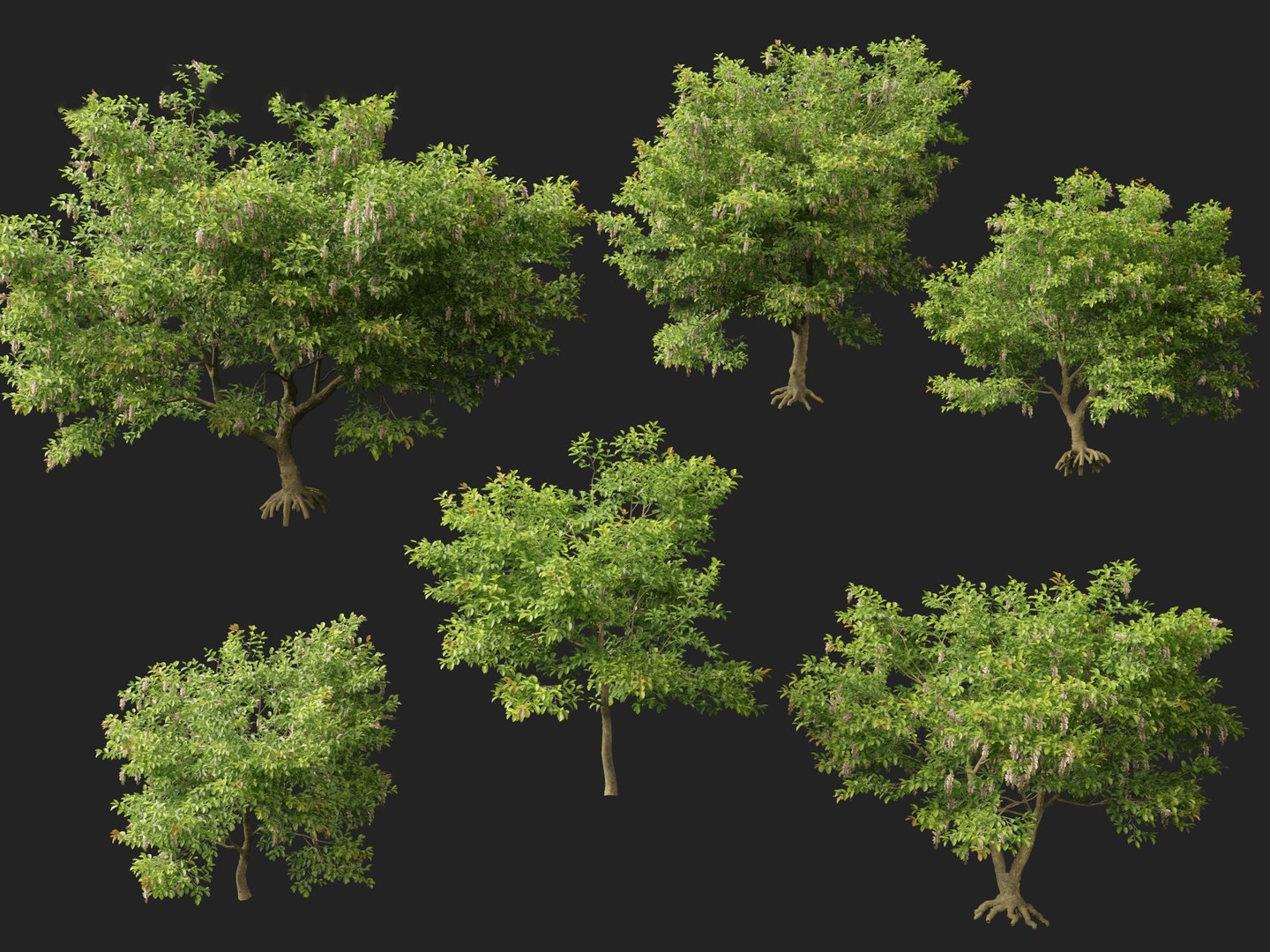 HighPolyLowPoly Millettia pinnata - Indian beech model https://p.turbosquid.com/ts-thumb/3Y/iuFI94/p7/millettiapinnata0110/jpg/1735884174/1920x1080/fit_q87/0594e03328eecce21bde82915a651dfdaa0de617/millettiapinnata0110.jpg