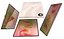HUAWEI MatePad Pro 12 inch Cherry Blossom Pink