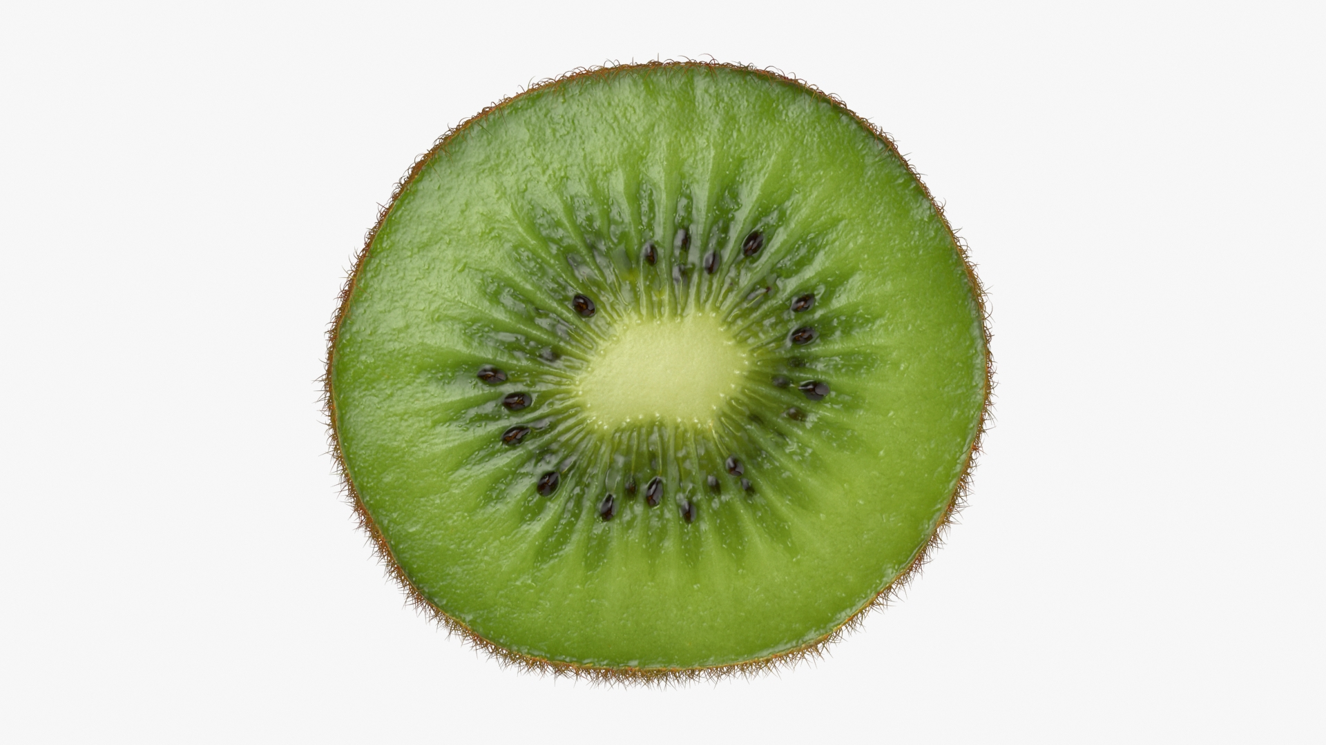 Kiwi Slice Collection 3D model https://p.turbosquid.com/ts-thumb/3Y/uXJGpV/FS/kiwislice/jpg/1722346015/1920x1080/turn_fit_q99/74535b5f824846e800ae77ef23ba8d4d1e022ba9/kiwislice-1.jpg
