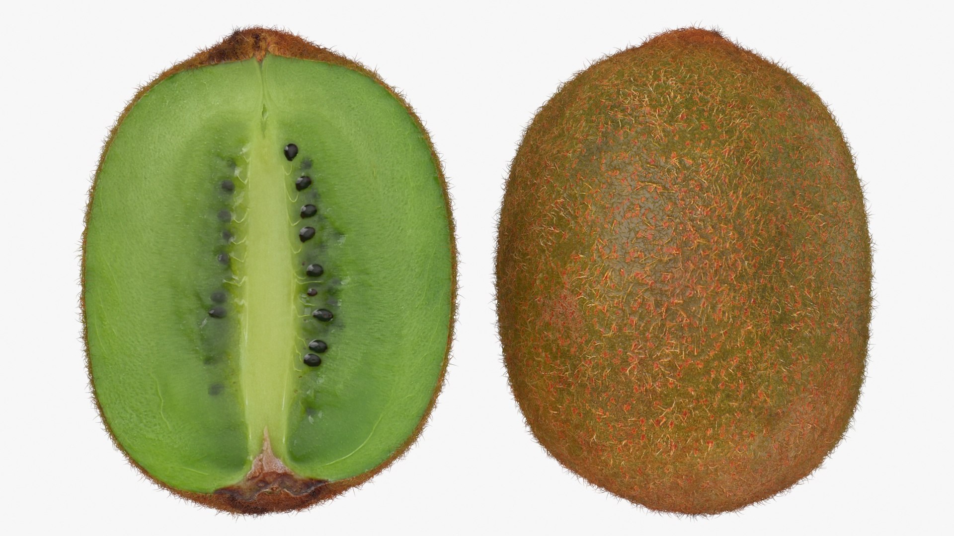 Kiwi Slice Collection 3D model https://p.turbosquid.com/ts-thumb/3Y/uXJGpV/MI/kiwicut_a0002/jpg/1722257648/1920x1080/fit_q87/f60a220e7ad04a62f3d09795a21cc1ba49e38f74/kiwicut_a0002.jpg