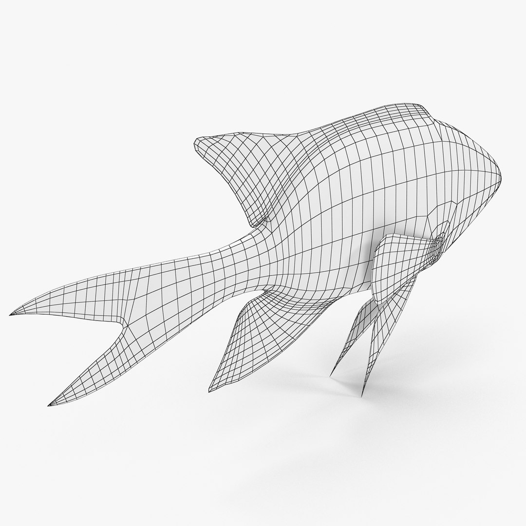 3d blackmouth bicolor chromis model https://p.turbosquid.com/ts-thumb/3Z/2nF2bO/NGoiSO1f/bicolorchromis_r2w/jpg/1472771306/1920x1080/fit_q87/68814c5bc08ef318f7cae8e6675667303bb79d6f/bicolorchromis_r2w.jpg