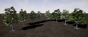 Pack Natureza  Arvores e pedras