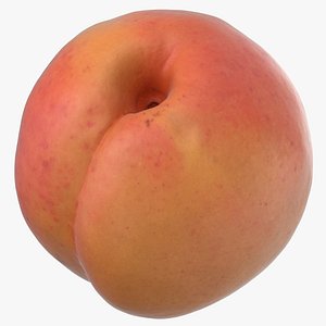 apricot small 3D model