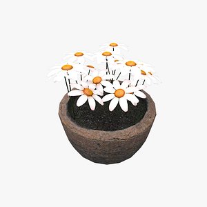 Medieval Chamomile 02