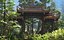 Temple de la forêt du Japon