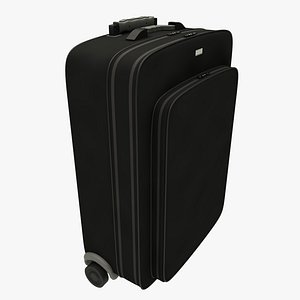 3d max suitcase baggage bag
