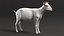 Goat Saanen Breed Rigged for Cinema 4D