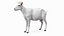 Goat Saanen Breed Rigged for Cinema 4D
