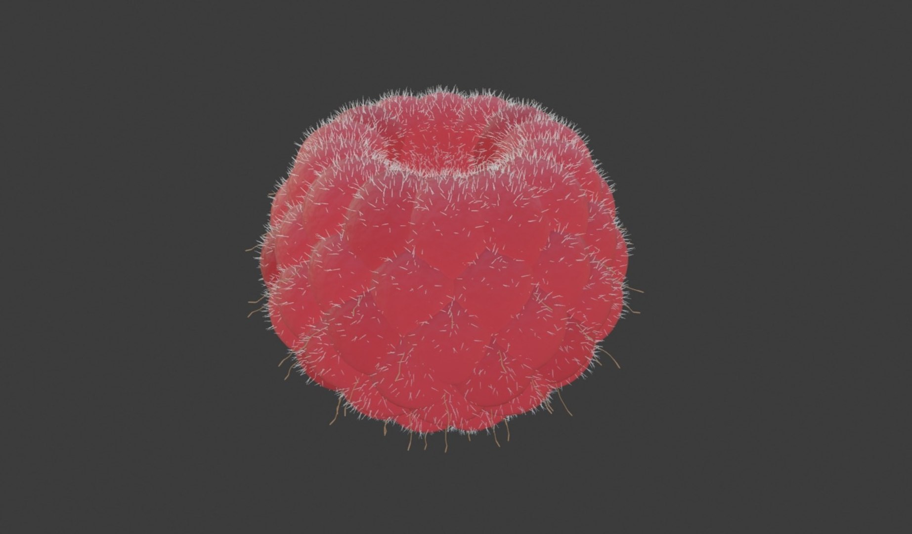 3D raspberry model https://p.turbosquid.com/ts-thumb/3Z/GDXqMw/MQ3vziCl/xgf00orpixg/jpg/1597226800/1920x1080/fit_q87/96f057b3765d45d6f8230b1da6a981447684935b/xgf00orpixg.jpg