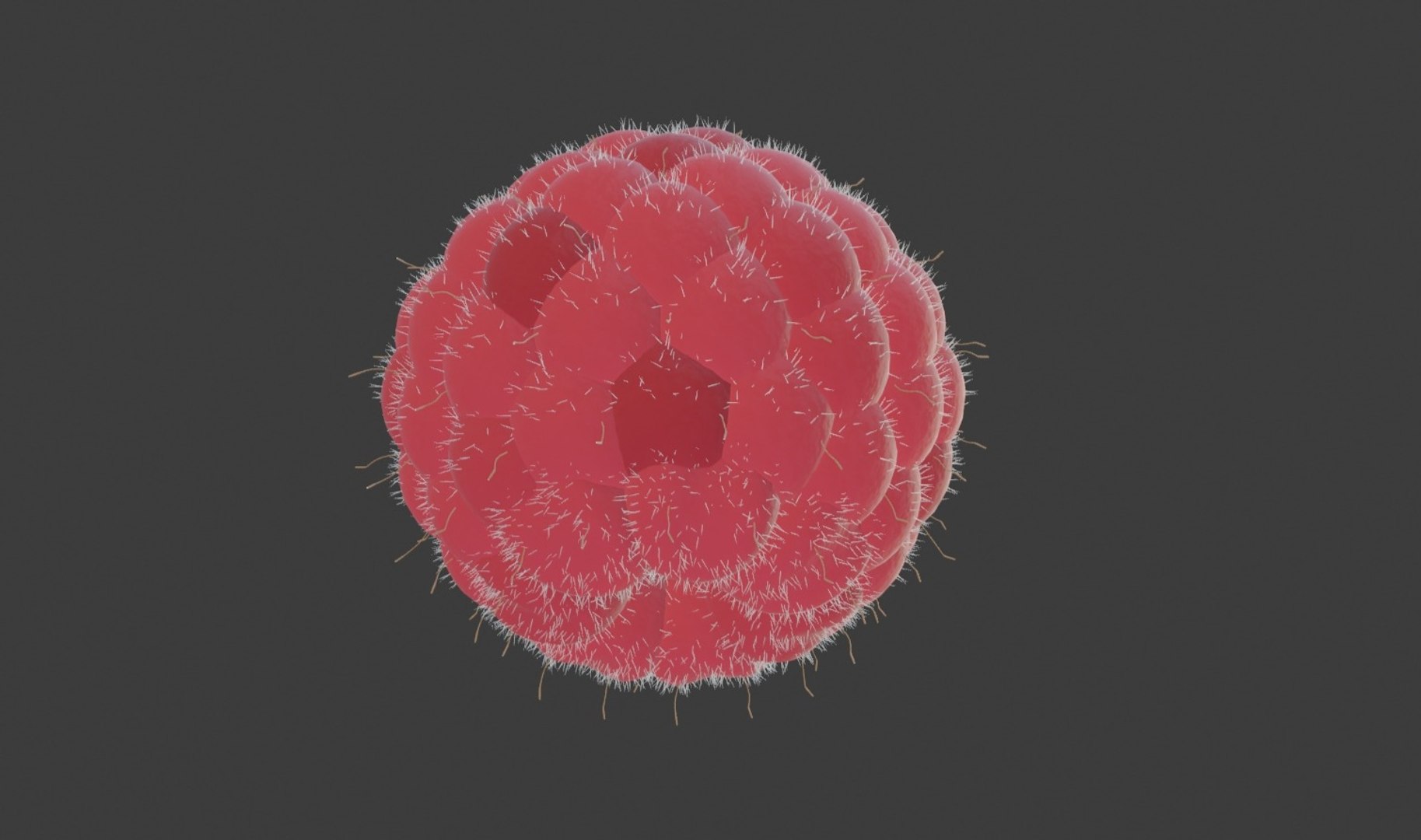 3D raspberry model https://p.turbosquid.com/ts-thumb/3Z/GDXqMw/iK9xXjjK/icz3ywsnng/jpg/1597226800/1920x1080/fit_q87/377158dcd0085658a350883b8f83b1e73b4618ac/icz3ywsnng.jpg