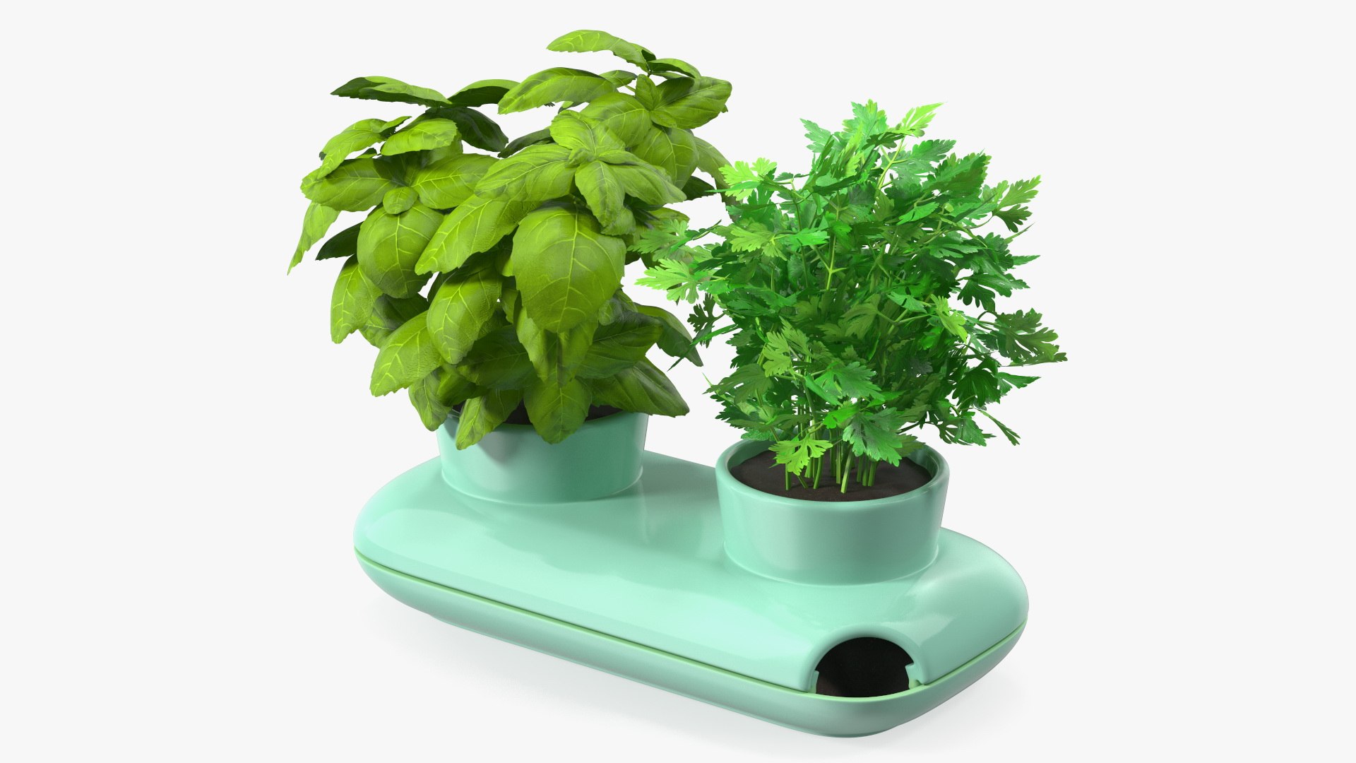 Herbs in Double Pot Sagaform Green 3D model preview