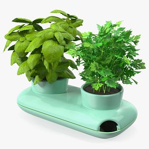 3D Herbs in Double Pot Sagaform Green model