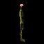 Nervous system 3D Model - Realistic Human Nervous system Anatomy 3ds Max