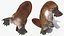 Standing Platypus