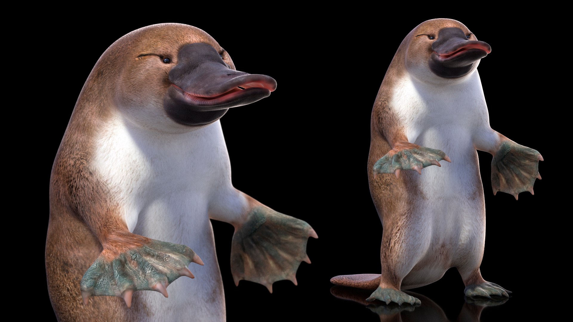 3D Standing Platypus https://p.turbosquid.com/ts-thumb/3Z/VdrMQS/8W/standingplatypusvray3dmodel006/jpg/1701195821/1920x1080/fit_q87/5c2dff1e13cd586146f7cf397cd878c300e1c0cd/standingplatypusvray3dmodel006.jpg