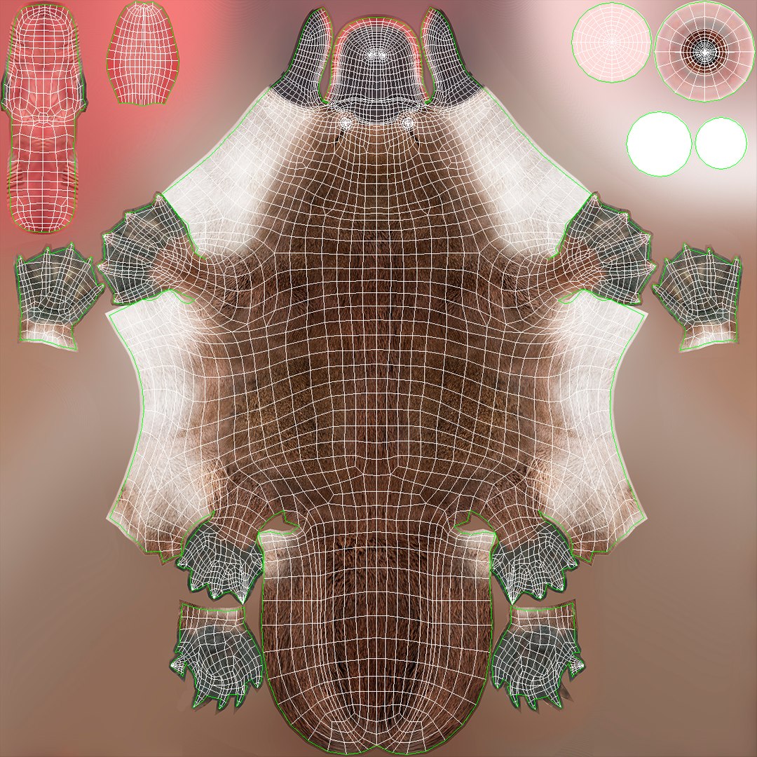 3D Standing Platypus https://p.turbosquid.com/ts-thumb/3Z/VdrMQS/jE/standingplatypusvray3dmodel017/jpg/1701195872/1920x1080/fit_q87/456797722a6891344af5b2e749ae9a048b94bc26/standingplatypusvray3dmodel017.jpg