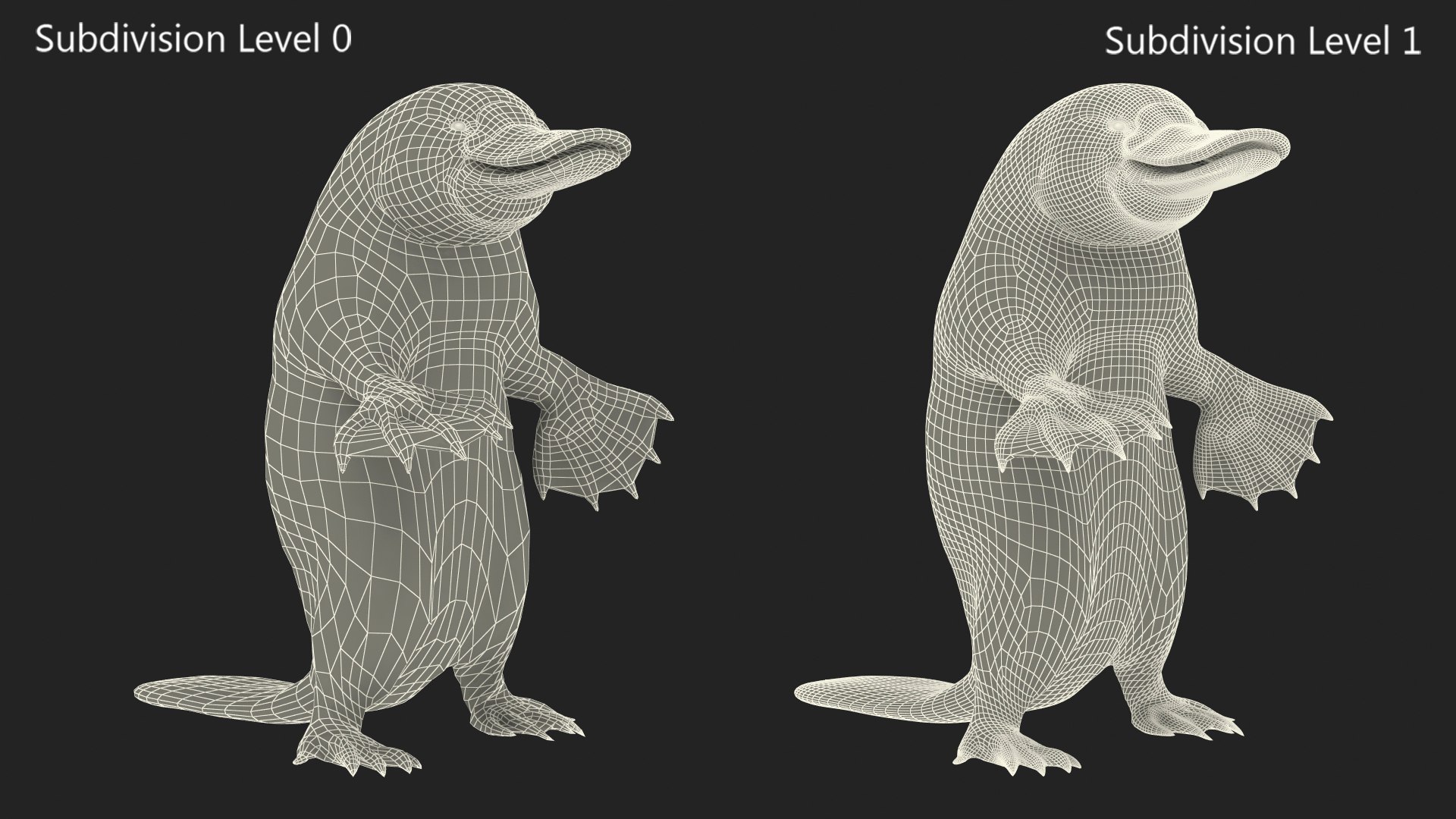 3D Standing Platypus https://p.turbosquid.com/ts-thumb/3Z/VdrMQS/p2/standingplatypusvray3dmodel016/jpg/1701195868/1920x1080/fit_q87/3d19db39311193bd0e90caec325335d7f96fbb2d/standingplatypusvray3dmodel016.jpg