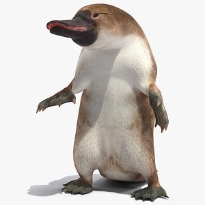 Standing Platypus