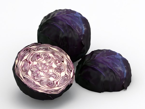 3D Purple cabbage model