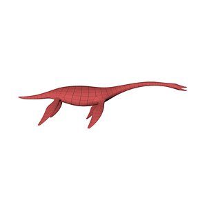 base mesh plesiosaurus 3d c4d