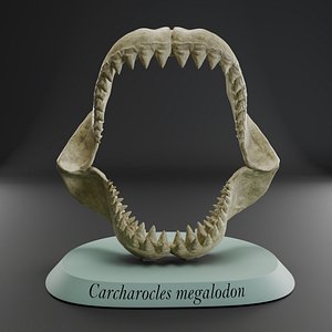 Megalodon jaw 3D print model 3D