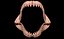 Megalodon jaw 3D print model