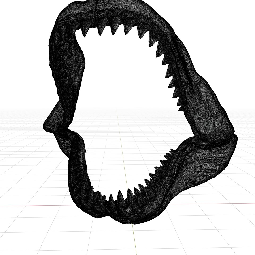 Megalodon jaw 3D print model 3D https://p.turbosquid.com/ts-thumb/3Z/vAI4Wf/mb/megalodonjawwireframe/png/1715979091/1920x1080/fit_q87/140b49019a3f79403152da0d5ab5f96fbf025ef4/megalodonjawwireframe.jpg