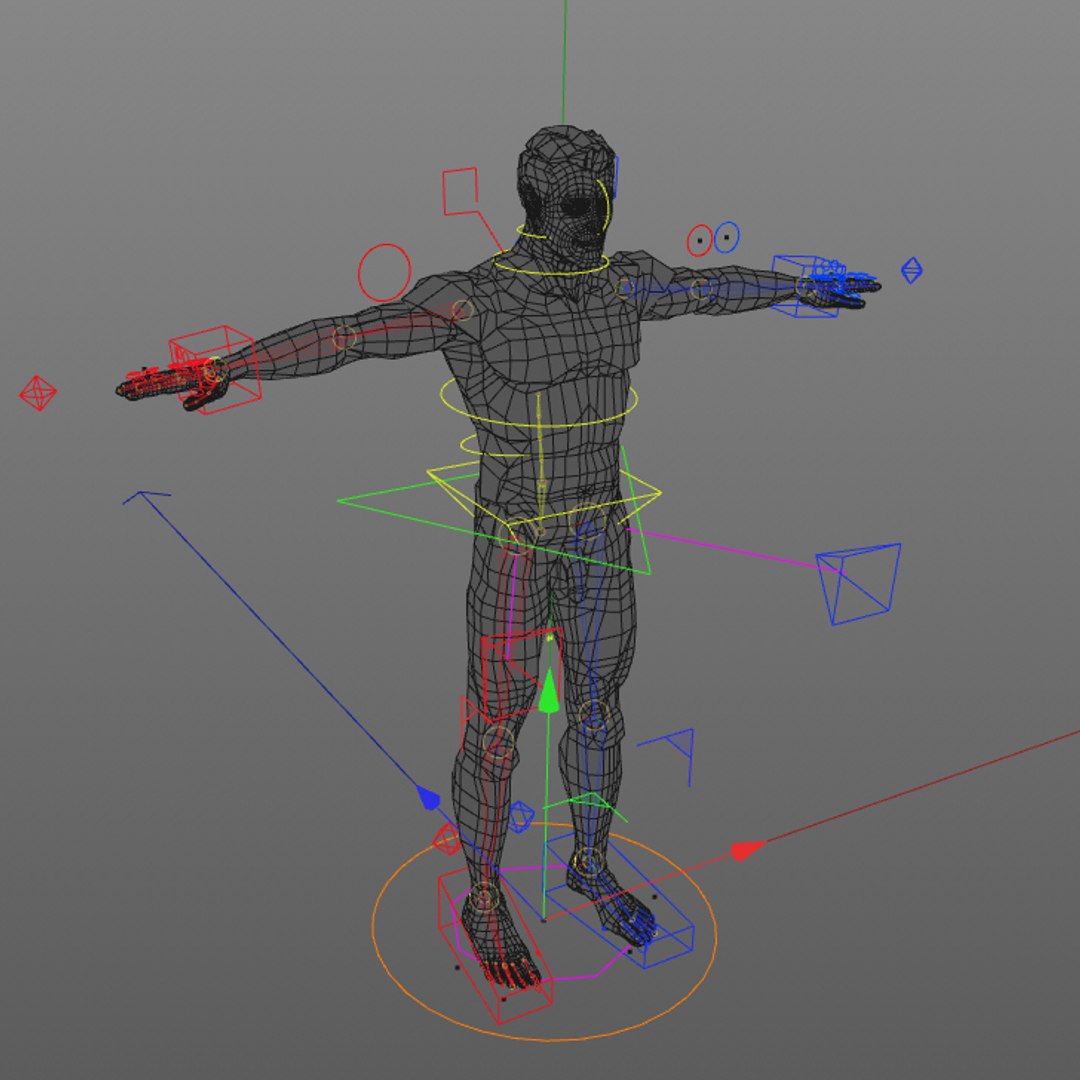 rigged male female anatomy c4d https://p.turbosquid.com/ts-thumb/3a/4Qmnh1/M7fVJeCF/male_controls/jpg/1474461301/1920x1080/fit_q87/04807cef6f84ebbe71c9a277b99b2c61acbdb0a2/male_controls.jpg