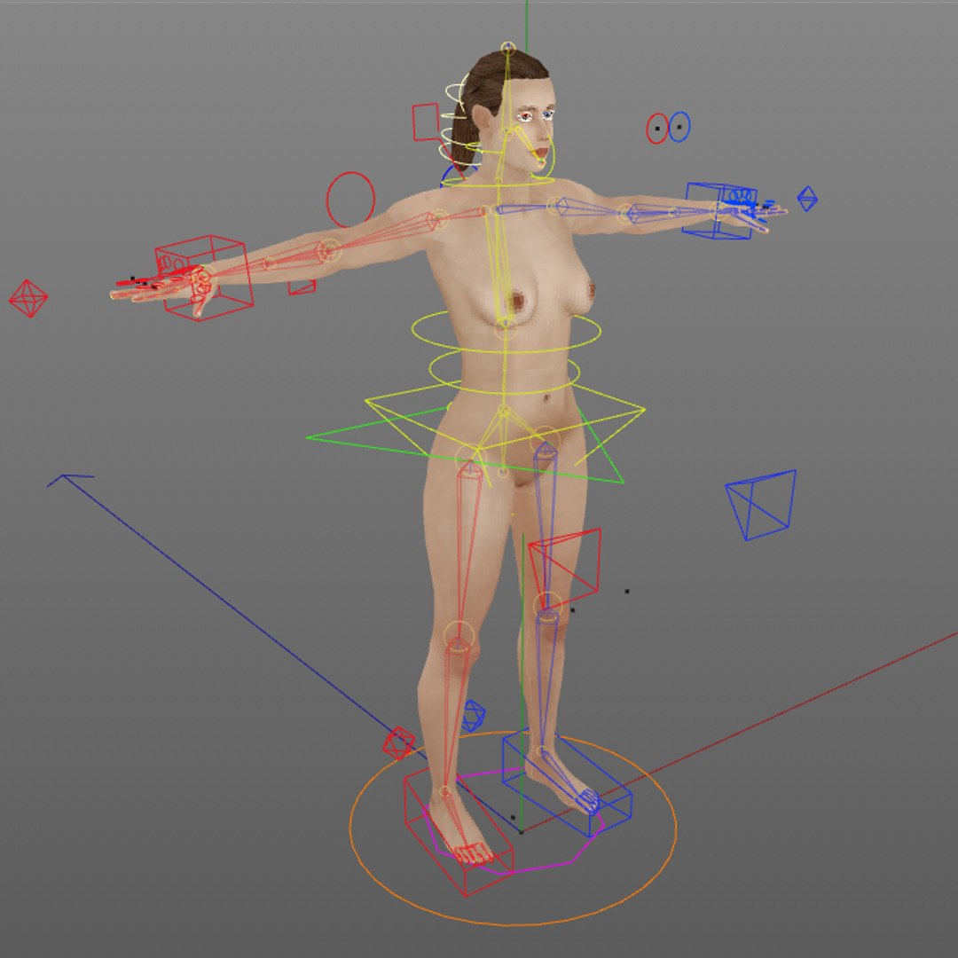rigged male female anatomy c4d https://p.turbosquid.com/ts-thumb/3a/4Qmnh1/ZbZEJhpd/female_controls/jpg/1474461309/1920x1080/fit_q87/3af6d38495645128b5a16b54fc57f7888175428b/female_controls.jpg