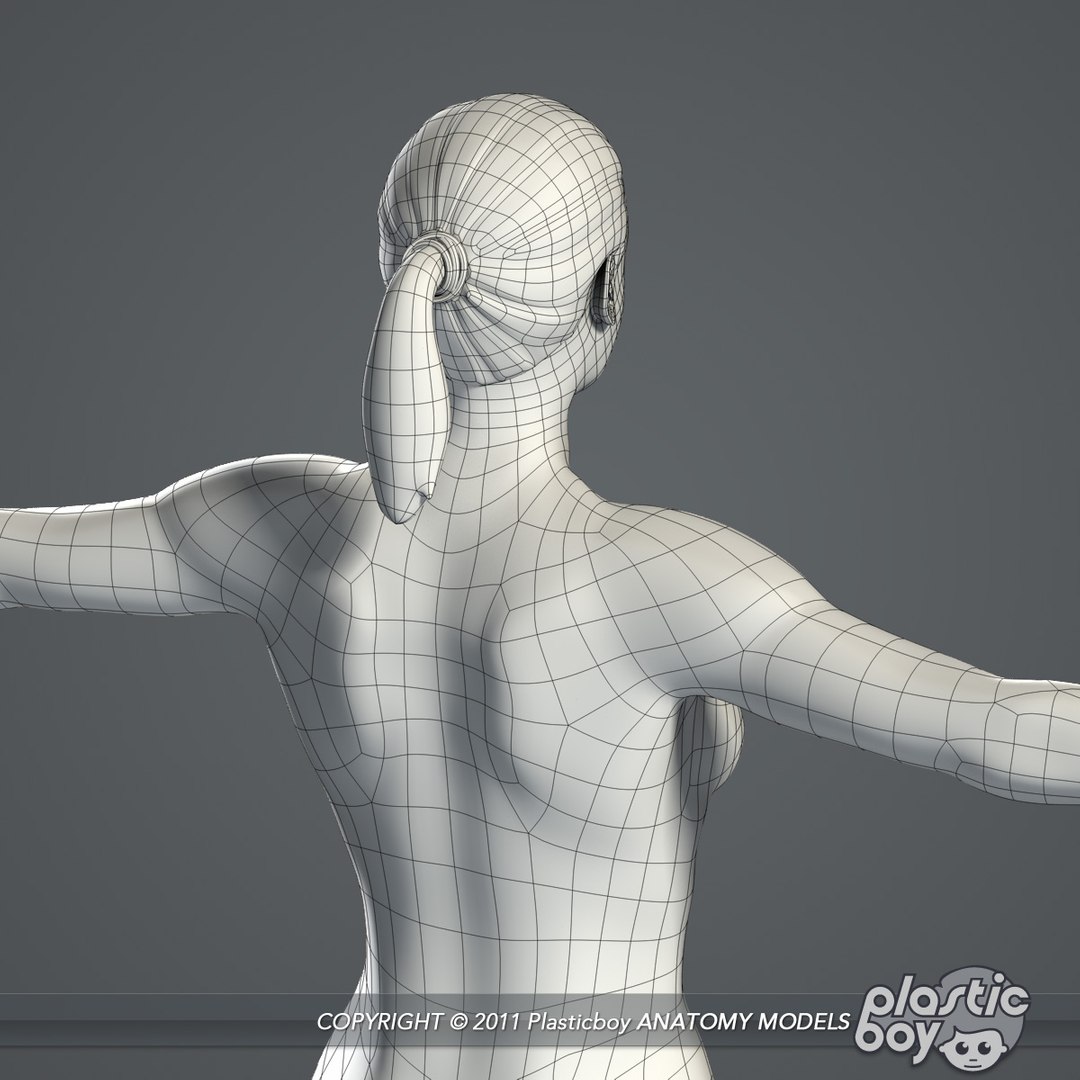 rigged male female anatomy c4d https://p.turbosquid.com/ts-thumb/3a/4Qmnh1/jzThnDl1/female_body_10_wf/jpg/1474393616/1920x1080/fit_q87/3c6915c1b59dcb06d129d809a7cdb55514b5ee13/female_body_10_wf.jpg