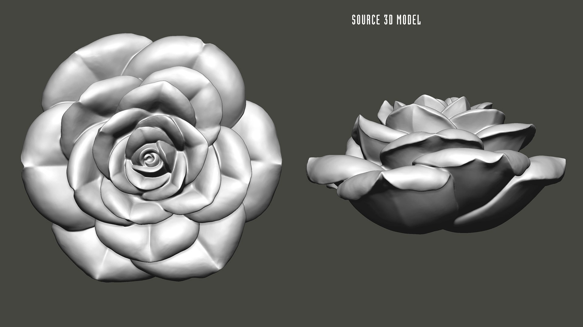 3D Rose Flower Sculpture Jewelry https://p.turbosquid.com/ts-thumb/3a/CAYbN7/Dj/roseflowersculpturejewelry3dmodelzbr00/jpg/1718446873/1920x1080/fit_q87/cb1506201c5777850f0def854aad3cdeb143a612/roseflowersculpturejewelry3dmodelzbr00.jpg