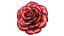 Rose Flower Sculpture Jewelry