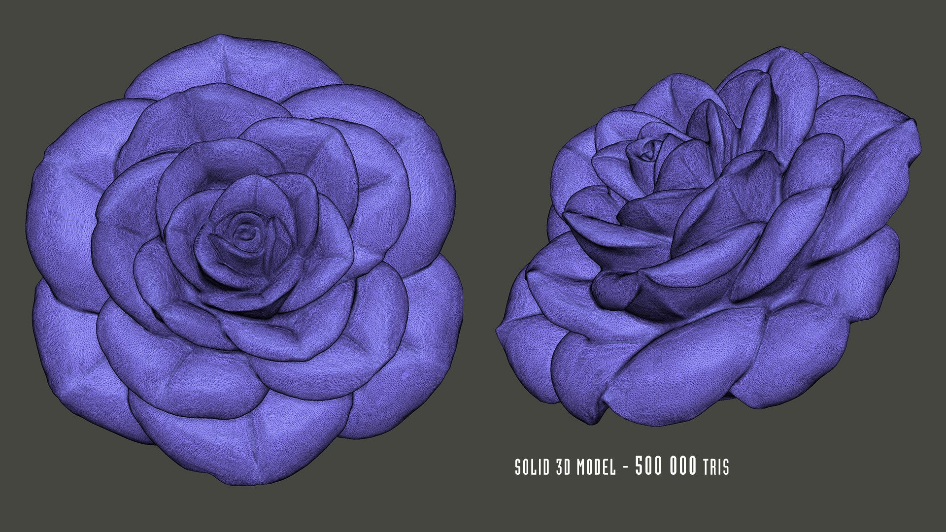 3D Rose Flower Sculpture Jewelry https://p.turbosquid.com/ts-thumb/3a/CAYbN7/uK/roseflowersculpturejewelry3dmodelwire01/jpg/1718378979/1920x1080/fit_q87/f940a96b030a69acf47d621bcbf2c7c944fe9bfc/roseflowersculpturejewelry3dmodelwire01.jpg